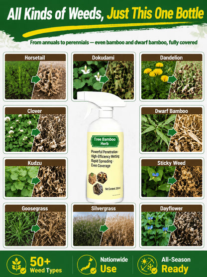 🔥🔥Last Day 50% OFF ✨Fast-Acting Natural Weed & Grass Killer Spray